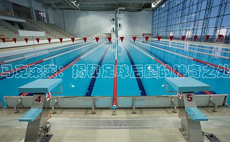 英国威廉希尔唯一官网颐驰 06马克莱莱：揭秘足球后腰的神奇之处