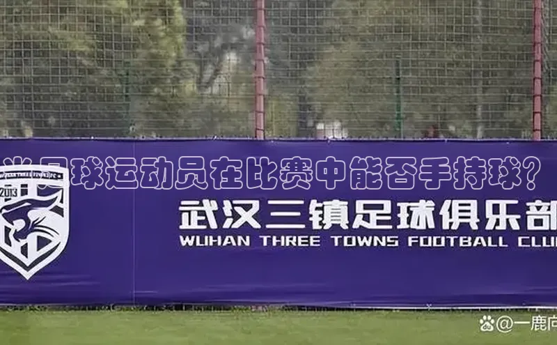 william hill中文姚记科技当足球运动员在比赛中能否手持球？