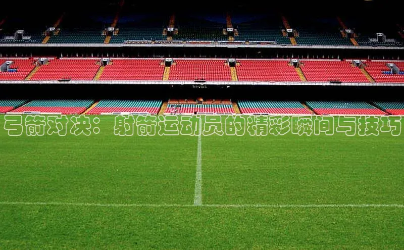 威廉希尔中文网站百度翻译App弓箭对决：射箭运动员的精彩瞬间与技巧