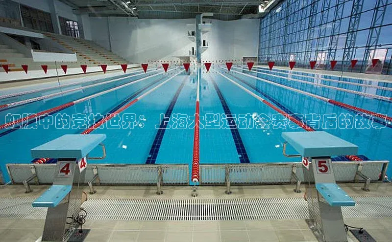 WilliamHill中文官方网站百度 H5虹膜中的竞技世界：上海大型运动会赛事背后的故事