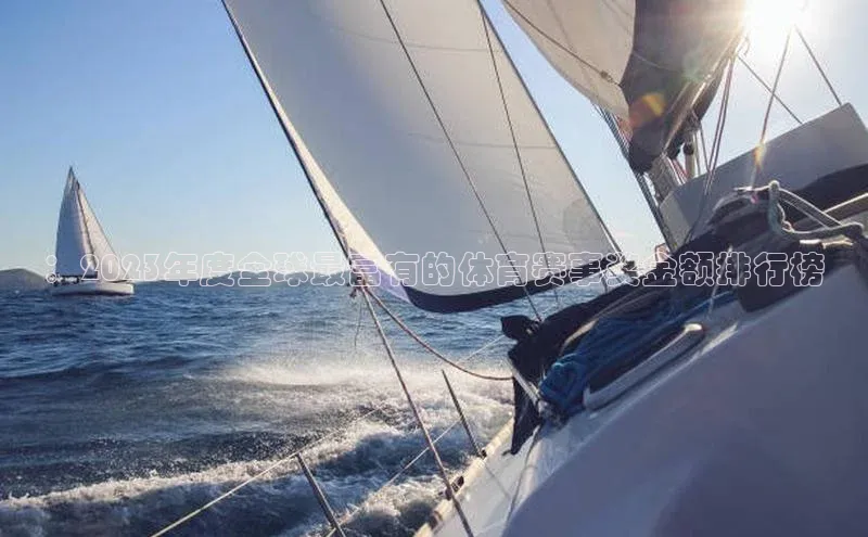 ：2023年度全球最富有的体育赛事奖金额排行榜