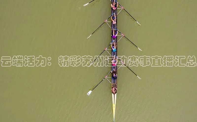 云端活力：精彩苏州运动赛事直播汇总