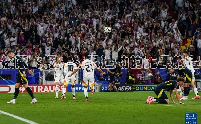 极限飞翔：极限运动的无畏旅程