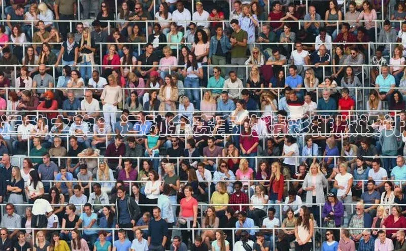 运动之韵：运动会赛事的精彩排版设计