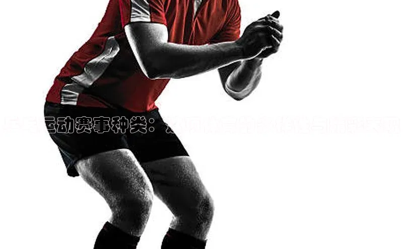 乒乓运动赛事种类：这项体育的多样性与精彩表现