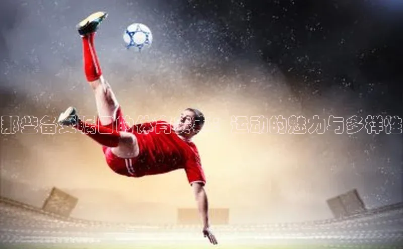那些备受瞩目的体育赛事：运动的魅力与多样性