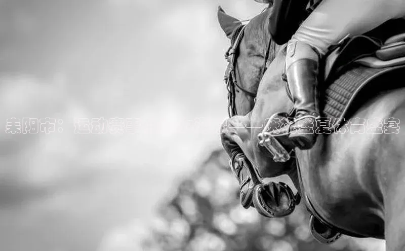 耒阳市：运动赛事的活力源泉——庆祝盛夏体育盛宴