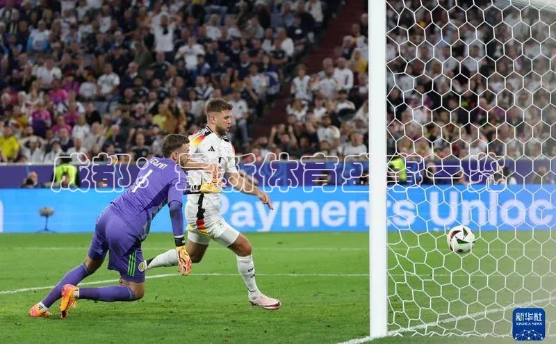 成都：最新体育盛事一览