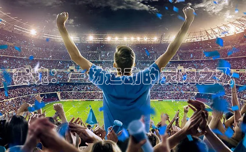 赛魂：一场运动的灵魂之歌