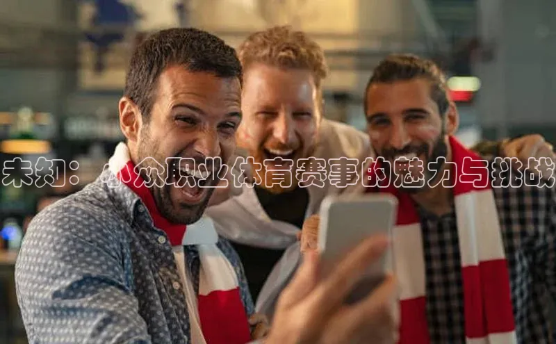 未知：小众职业体育赛事的魅力与挑战