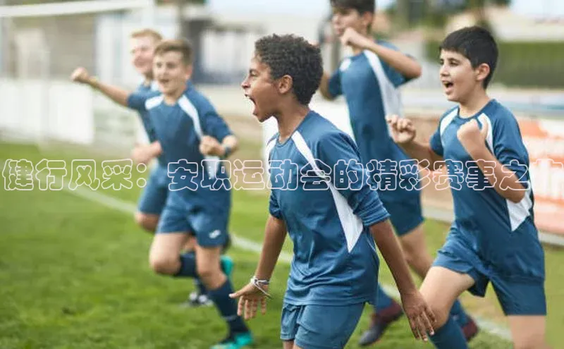 健行风采：安职运动会的精彩赛事之旅