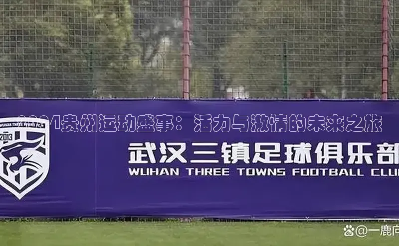 2024贵州运动盛事：活力与激情的未来之旅