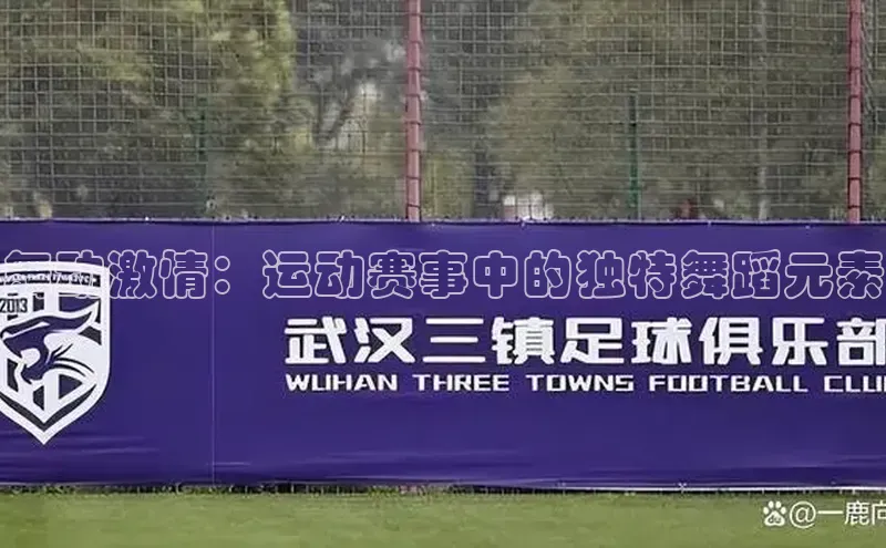 舞动激情：运动赛事中的独特舞蹈元素