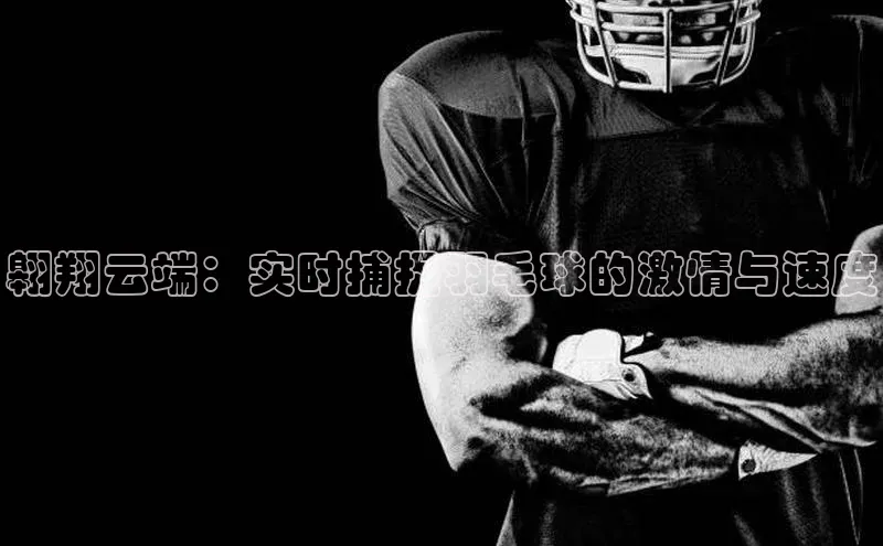 翱翔云端：实时捕捉羽毛球的激情与速度