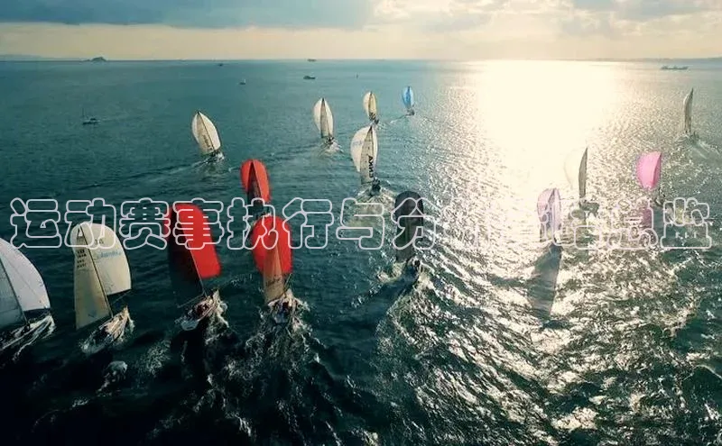 运动赛事执行与分析策略总监
